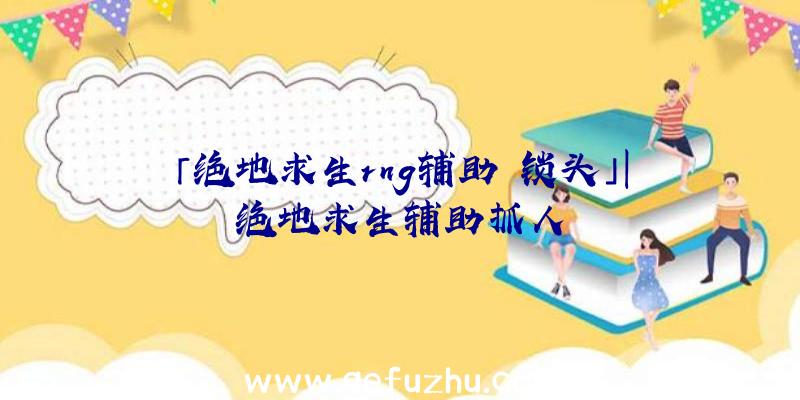 「绝地求生rng辅助